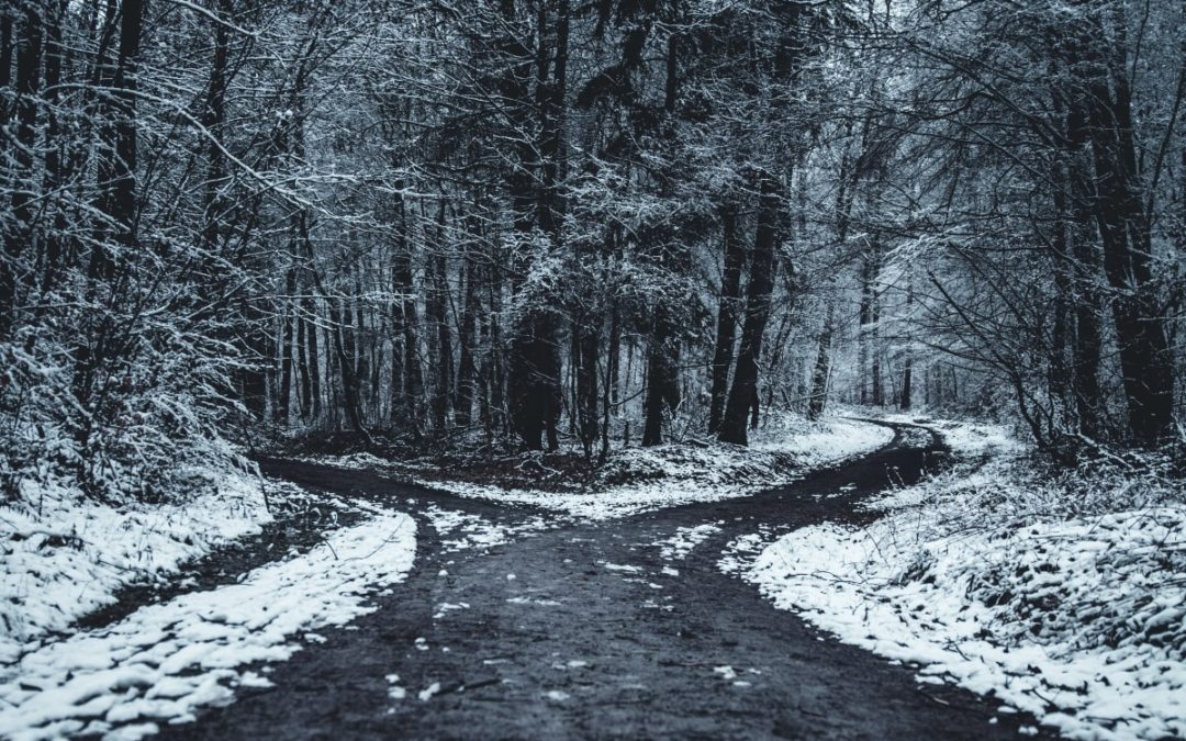 How to Make Better Decisions